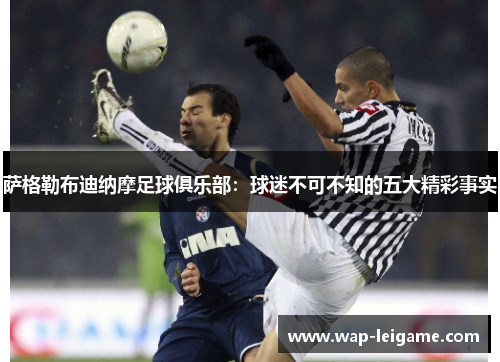 萨格勒布迪纳摩足球俱乐部：球迷不可不知的五大精彩事实