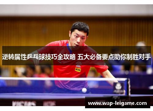 逆转属性乒乓球技巧全攻略 五大必备要点助你制胜对手