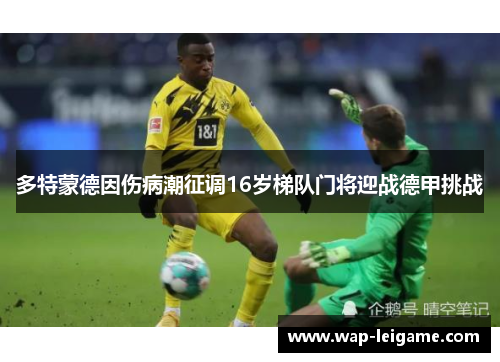 多特蒙德因伤病潮征调16岁梯队门将迎战德甲挑战
